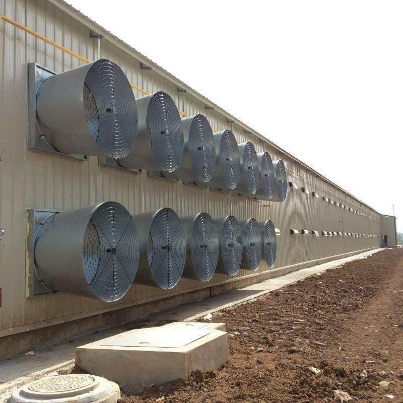 Poultry exhaust fan