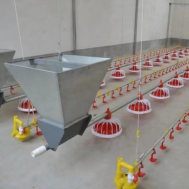 Poultry feed silo and hopper equipment