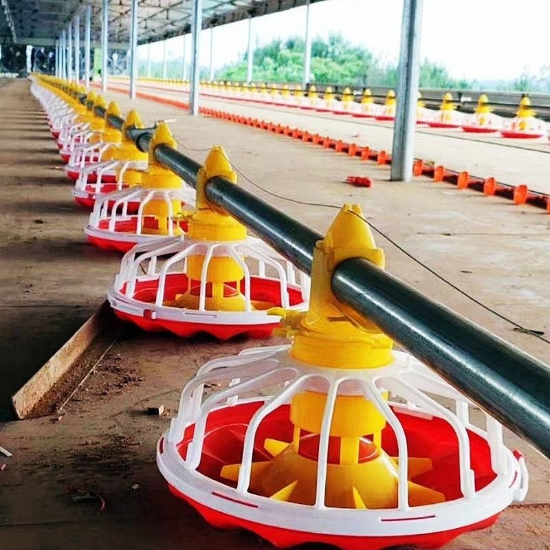 Automatic pan feeding system installed on a poultry farm